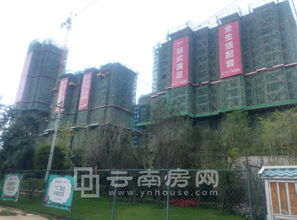 昆明聯想科技城與昆明頂播科技 數字創新雙引擎驅動區域發展